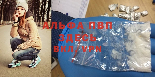 стаф Волоколамск